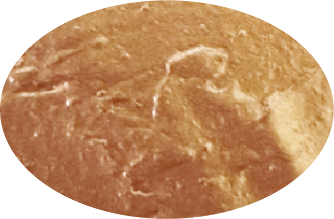 Body and Facial Bronzer 5.1 fl. oz.